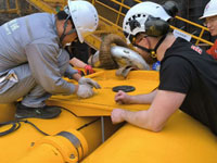 上海朗信,助力海洋石油施工建設(shè)交付波浪補償器